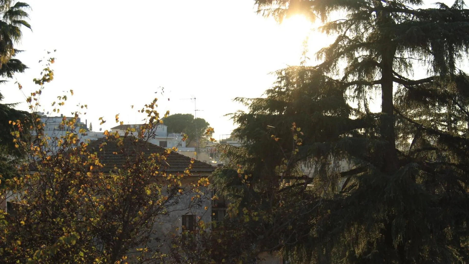 Domus Anna Apartment Rome